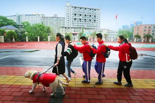 e888647c983b41ea9304a3a3ac8c97b7.jpg b.jpg